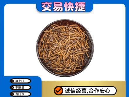 宿州市萧县回收散虫草